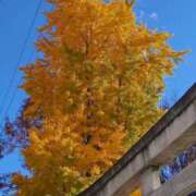 ヒメ日記 2025/11/16 12:57 投稿 伊波しゅり アラフォーna奥様 アラフィフna奥様（埼玉ハレ系）