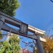 ヒメ日記 2025/11/17 13:07 投稿 伊波しゅり アラフォーna奥様 アラフィフna奥様（埼玉ハレ系）