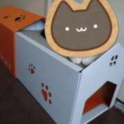 ヒメ日記 2025/11/20 11:37 投稿 伊波しゅり アラフォーna奥様 アラフィフna奥様（埼玉ハレ系）