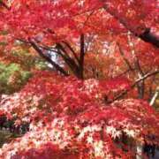 ヒメ日記 2025/11/27 11:56 投稿 伊波しゅり アラフォーna奥様 アラフィフna奥様（埼玉ハレ系）