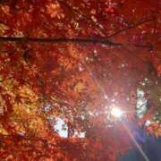 ヒメ日記 2025/12/01 19:57 投稿 伊波しゅり アラフォーna奥様 アラフィフna奥様（埼玉ハレ系）