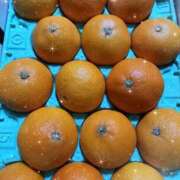 ヒメ日記 2025/12/09 20:09 投稿 伊波しゅり アラフォーna奥様 アラフィフna奥様（埼玉ハレ系）