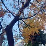 ヒメ日記 2026/01/01 17:30 投稿 伊波しゅり アラフォーna奥様 アラフィフna奥様（埼玉ハレ系）