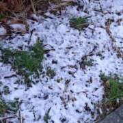 ヒメ日記 2026/01/03 07:43 投稿 伊波しゅり アラフォーna奥様 アラフィフna奥様（埼玉ハレ系）