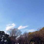 ヒメ日記 2026/02/17 13:46 投稿 伊波しゅり アラフォーna奥様 アラフィフna奥様（埼玉ハレ系）