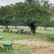 ヒメ日記 2026/02/21 11:31 投稿 伊波しゅり アラフォーna奥様 アラフィフna奥様（埼玉ハレ系）