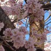 ヒメ日記 2026/03/05 09:47 投稿 伊波しゅり アラフォーna奥様 アラフィフna奥様（埼玉ハレ系）