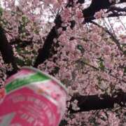 ヒメ日記 2026/03/19 15:20 投稿 伊波しゅり アラフォーna奥様 アラフィフna奥様（埼玉ハレ系）