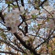 ヒメ日記 2026/03/21 17:42 投稿 伊波しゅり アラフォーna奥様 アラフィフna奥様（埼玉ハレ系）