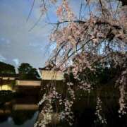 ヒメ日記 2026/03/29 11:12 投稿 伊波しゅり アラフォーna奥様 アラフィフna奥様（埼玉ハレ系）