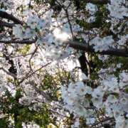 ヒメ日記 2026/04/02 16:10 投稿 伊波しゅり アラフォーna奥様 アラフィフna奥様（埼玉ハレ系）