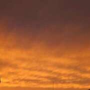 ヒメ日記 2026/04/05 18:19 投稿 伊波しゅり アラフォーna奥様 アラフィフna奥様（埼玉ハレ系）