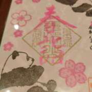 ヒメ日記 2026/04/12 12:21 投稿 伊波しゅり アラフォーna奥様 アラフィフna奥様（埼玉ハレ系）