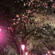 大西結花 おはようございます アラフォーna奥様 アラフィフna奥様（埼玉ハレ系）