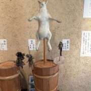 大西結花 諏訪大社の謎 アラフォーna奥様 アラフィフna奥様（埼玉ハレ系）