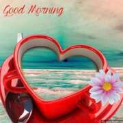 ヒメ日記 2026/02/23 08:24 投稿 高梨るみ アラフォーna奥様 アラフィフna奥様（埼玉ハレ系）