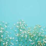 西野かえで 三重苦 アラフォーna奥様 アラフィフna奥様（埼玉ハレ系）