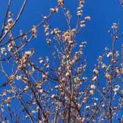 松村ともみ ごめんなさい…🥺 アラフォーna奥様 アラフィフna奥様（埼玉ハレ系）