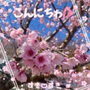 ヒメ日記 2026/03/21 14:33 投稿 松村ともみ アラフォーna奥様 アラフィフna奥様（埼玉ハレ系）