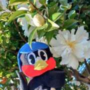 ヒメ日記 2025/02/20 16:40 投稿 伊藤かずみ アラフォーna奥様 アラフィフna奥様（埼玉ハレ系）