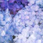 ヒメ日記 2025/05/10 12:35 投稿 伊藤かずみ アラフォーna奥様 アラフィフna奥様（埼玉ハレ系）