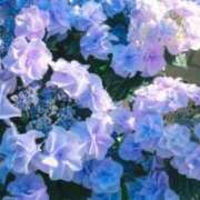 ヒメ日記 2025/05/20 13:23 投稿 伊藤かずみ アラフォーna奥様 アラフィフna奥様（埼玉ハレ系）