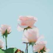 ヒメ日記 2025/05/24 09:28 投稿 伊藤かずみ アラフォーna奥様 アラフィフna奥様（埼玉ハレ系）