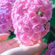 ヒメ日記 2025/06/04 09:22 投稿 伊藤かずみ アラフォーna奥様 アラフィフna奥様（埼玉ハレ系）