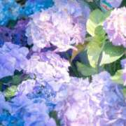 ヒメ日記 2025/06/07 08:36 投稿 伊藤かずみ アラフォーna奥様 アラフィフna奥様（埼玉ハレ系）