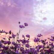 ヒメ日記 2025/10/22 18:11 投稿 伊藤かずみ アラフォーna奥様 アラフィフna奥様（埼玉ハレ系）