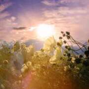 ヒメ日記 2025/10/26 08:59 投稿 伊藤かずみ アラフォーna奥様 アラフィフna奥様（埼玉ハレ系）