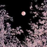 ヒメ日記 2026/04/08 07:19 投稿 伊藤かずみ アラフォーna奥様 アラフィフna奥様（埼玉ハレ系）