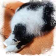 ヒメ日記 2025/11/15 06:59 投稿 茜そら アラフォーna奥様 アラフィフna奥様（埼玉ハレ系）