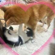 ヒメ日記 2025/11/18 06:43 投稿 茜そら アラフォーna奥様 アラフィフna奥様（埼玉ハレ系）