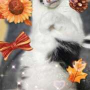 茜そら おはようございにゃす🐱🐾 アラフォーna奥様 アラフィフna奥様（埼玉ハレ系）