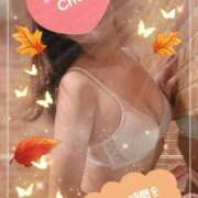 ヒメ日記 2025/12/28 16:37 投稿 茜そら アラフォーna奥様 アラフィフna奥様（埼玉ハレ系）