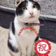 ヒメ日記 2026/01/02 06:36 投稿 茜そら アラフォーna奥様 アラフィフna奥様（埼玉ハレ系）