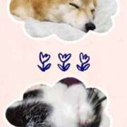 ヒメ日記 2026/01/13 06:56 投稿 茜そら アラフォーna奥様 アラフィフna奥様（埼玉ハレ系）