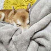 ヒメ日記 2026/01/20 07:10 投稿 茜そら アラフォーna奥様 アラフィフna奥様（埼玉ハレ系）