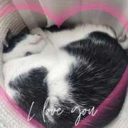 ヒメ日記 2026/01/26 06:57 投稿 茜そら アラフォーna奥様 アラフィフna奥様（埼玉ハレ系）