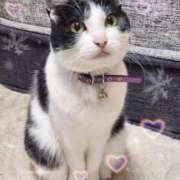 ヒメ日記 2026/01/29 06:15 投稿 茜そら アラフォーna奥様 アラフィフna奥様（埼玉ハレ系）