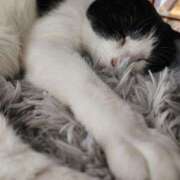 ヒメ日記 2026/02/02 07:47 投稿 茜そら アラフォーna奥様 アラフィフna奥様（埼玉ハレ系）