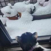 ヒメ日記 2026/02/08 11:33 投稿 茜そら アラフォーna奥様 アラフィフna奥様（埼玉ハレ系）