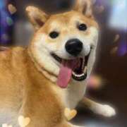 ヒメ日記 2026/02/08 17:56 投稿 茜そら アラフォーna奥様 アラフィフna奥様（埼玉ハレ系）