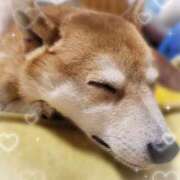 ヒメ日記 2026/02/11 11:11 投稿 茜そら アラフォーna奥様 アラフィフna奥様（埼玉ハレ系）