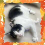 ヒメ日記 2026/02/12 06:40 投稿 茜そら アラフォーna奥様 アラフィフna奥様（埼玉ハレ系）