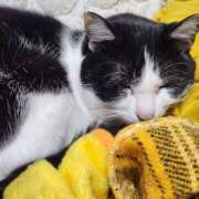 ヒメ日記 2026/02/13 06:27 投稿 茜そら アラフォーna奥様 アラフィフna奥様（埼玉ハレ系）