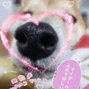 ヒメ日記 2026/02/20 07:50 投稿 茜そら アラフォーna奥様 アラフィフna奥様（埼玉ハレ系）