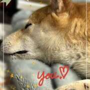 ヒメ日記 2026/02/21 08:27 投稿 茜そら アラフォーna奥様 アラフィフna奥様（埼玉ハレ系）