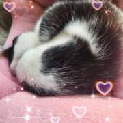 ヒメ日記 2026/02/22 06:33 投稿 茜そら アラフォーna奥様 アラフィフna奥様（埼玉ハレ系）